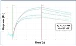 MXD1 Antibody in Surface plasmon resonance (SPR)