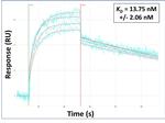 HPGDS Antibody in Surface plasmon resonance (SPR)