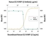 MIP-3 beta Antibody in Neutralization (Neu)