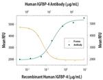 IGFBP4 Antibody in Neutralization (Neu)