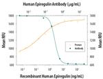Epiregulin Antibody in Neutralization (Neu)