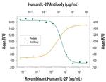 IL-27 Antibody in Neutralization (Neu)