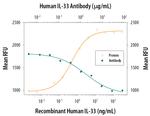 IL-33 Antibody in Neutralization (Neu)