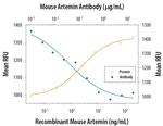 Artemin Antibody in Neutralization (Neu)