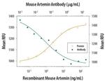 Artemin Antibody