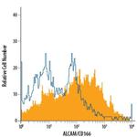 CD166 Antibody in Flow Cytometry (Flow)