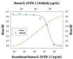 IL-29 Antibody