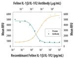 IL-1 beta Antibody in Neutralization (Neu)