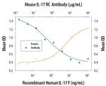 IL17RC Antibody in Neutralization (Neu)