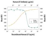 LIF Antibody in Neutralization (Neu)