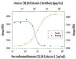 Eotaxin 2 Antibody