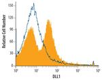 DLL1 Antibody in Flow Cytometry (Flow)