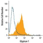 Glypican 1 Antibody in Flow Cytometry (Flow)