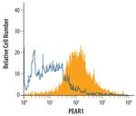 PEAR1 Antibody in Flow Cytometry (Flow)