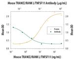 CD254 (RANK Ligand) Antibody in Neutralization (Neu)