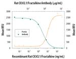 CX3CL1 Antibody in Neutralization (Neu)