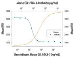 CCL1 Antibody in Neutralization (Neu)