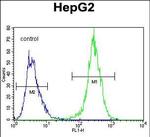 MRFAP1L1 Antibody in Flow Cytometry (Flow)