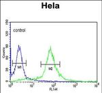 PI4KB Antibody in Flow Cytometry (Flow)