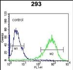 ITPKB Antibody in Flow Cytometry (Flow)