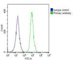 PRODH Antibody in Flow Cytometry (Flow)