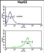 ACY3 Antibody in Flow Cytometry (Flow)