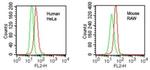 VPRBP Antibody in Flow Cytometry (Flow)