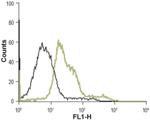 alpha-1b Adrenergic Receptor (extracellular) Antibody in Flow Cytometry (Flow)