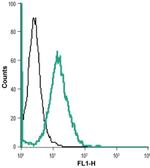 BAI1 (extracellular) Antibody in Flow Cytometry (Flow)