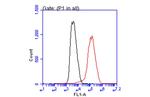 PCSK9 Antibody in Flow Cytometry (Flow)