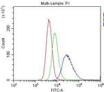 CD40 Antibody in Flow Cytometry (Flow)