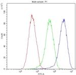 Complement Factor I Antibody in Flow Cytometry (Flow)