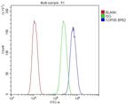 JAB1 Antibody in Flow Cytometry (Flow)