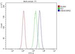 IKK beta Antibody in Flow Cytometry (Flow)