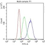 CD41 Antibody in Flow Cytometry (Flow)