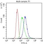 CD41 Antibody in Flow Cytometry (Flow)