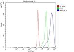 MEK3 Antibody in Flow Cytometry (Flow)