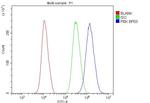 PBK Antibody in Flow Cytometry (Flow)