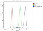 DARPP-32 Antibody in Flow Cytometry (Flow)