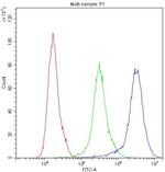 PRX Antibody in Flow Cytometry (Flow)