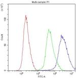 PRX Antibody in Flow Cytometry (Flow)