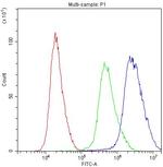 PTP4A2 Antibody in Flow Cytometry (Flow)