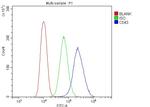 CD43 Antibody in Flow Cytometry (Flow)