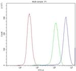 Synaptotagmin 1 Antibody in Flow Cytometry (Flow)