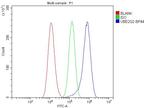 UBE2Q2 Antibody in Flow Cytometry (Flow)