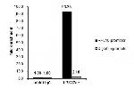 H3K27ac Antibody in ChIP Assay (ChIP)