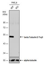 Polyane® TYPE 150 - BATN1503PR - Polyane