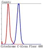 Cytochrome C Antibody in Flow Cytometry (Flow)