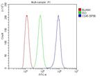 CD45 Antibody in Flow Cytometry (Flow)