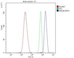 Annexin A8 Antibody in Flow Cytometry (Flow)